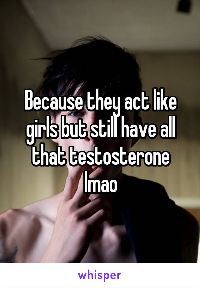Because they act like girls but still have all that testosterone lmao