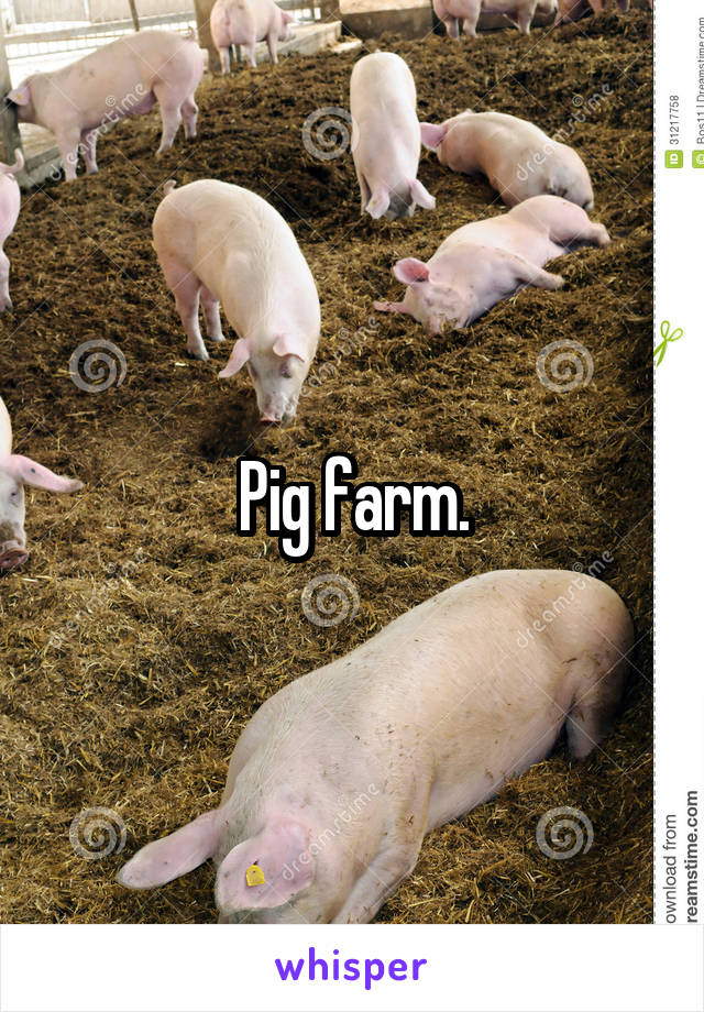 Pig farm.