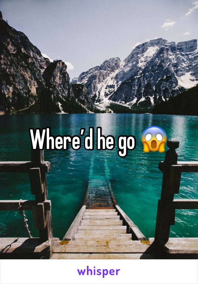 Where’d he go 😱