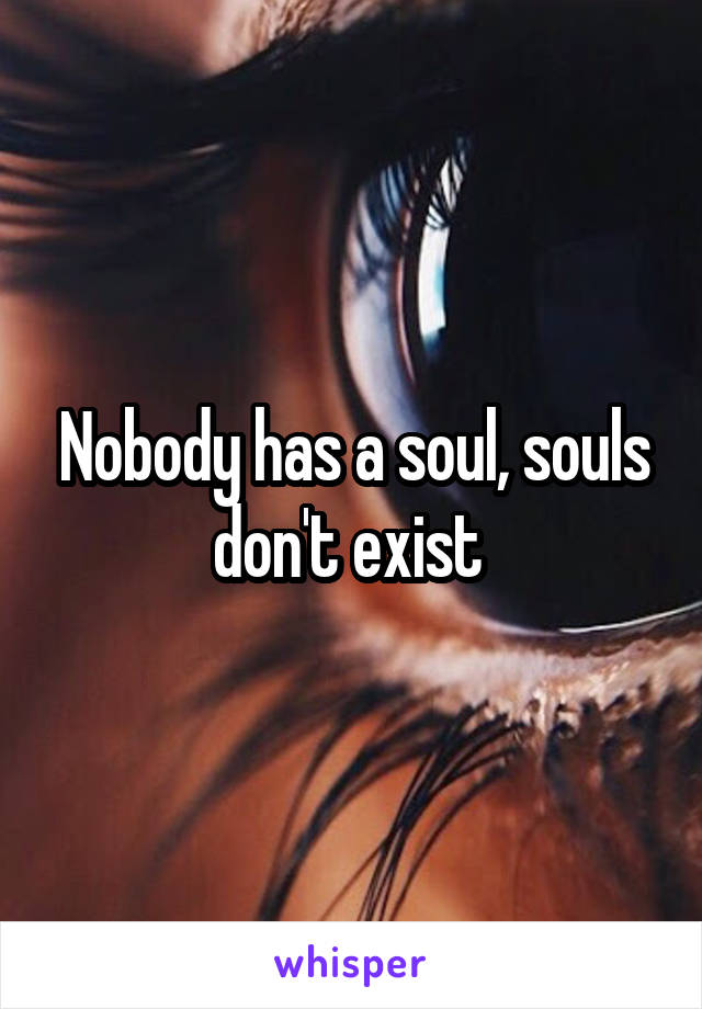 Nobody has a soul, souls don't exist 
