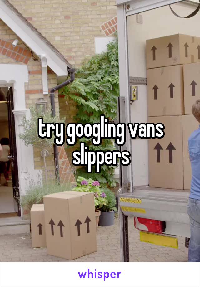 try googling vans slippers
