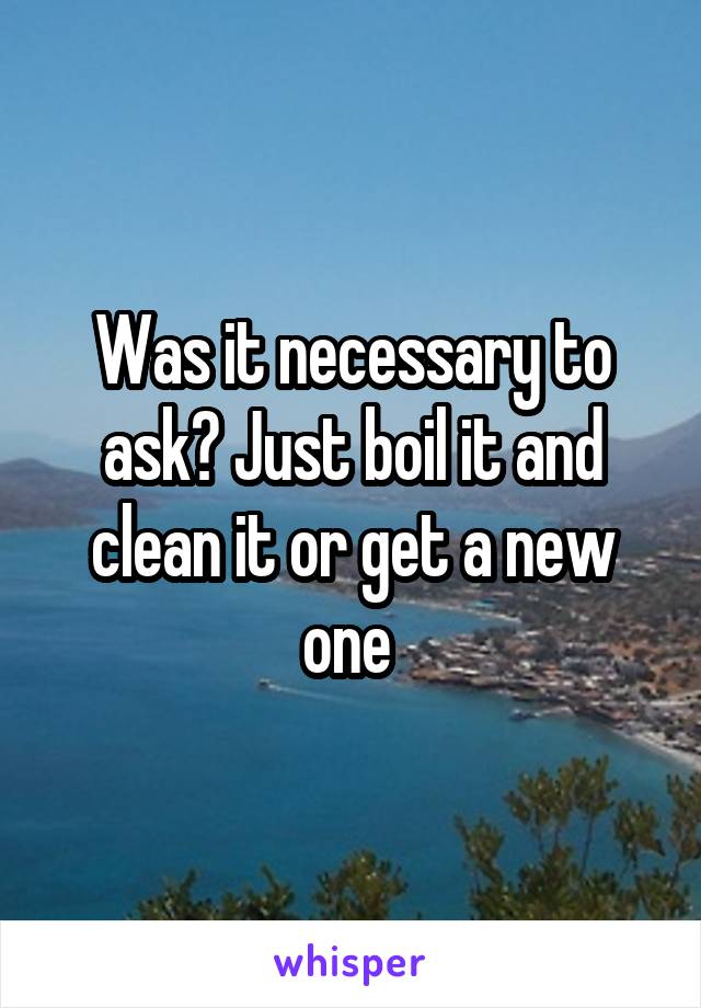 Was it necessary to ask? Just boil it and clean it or get a new one 