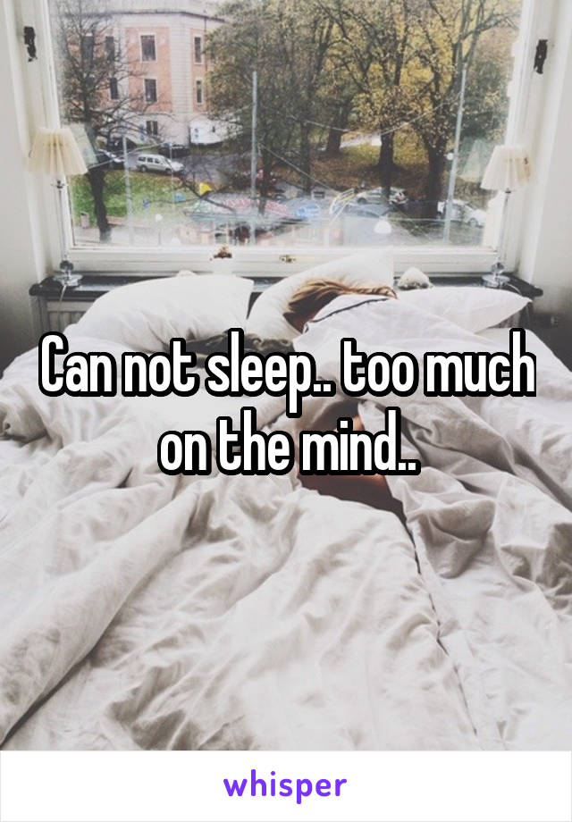 Can not sleep.. too much on the mind..