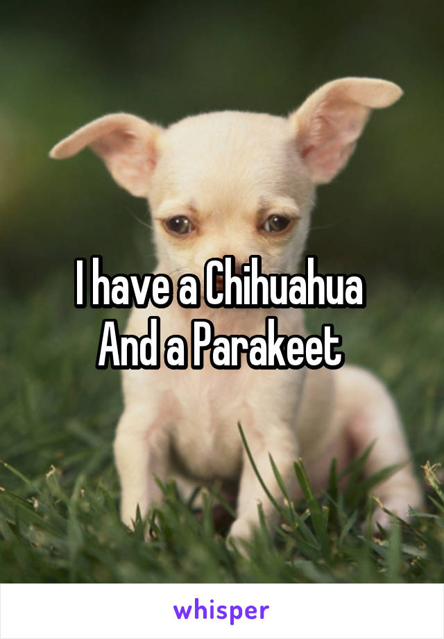 I have a Chihuahua 
And a Parakeet 