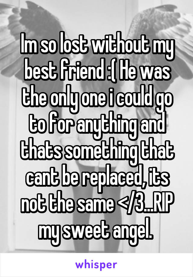 Im so lost without my best friend :( He was the only one i could go to for anything and thats something that cant be replaced, its not the same </3...RIP my sweet angel. 