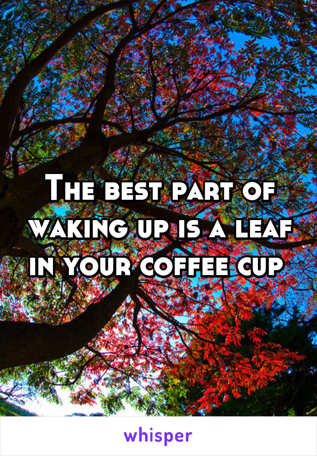 The best part of waking up is a leaf in your coffee cup 