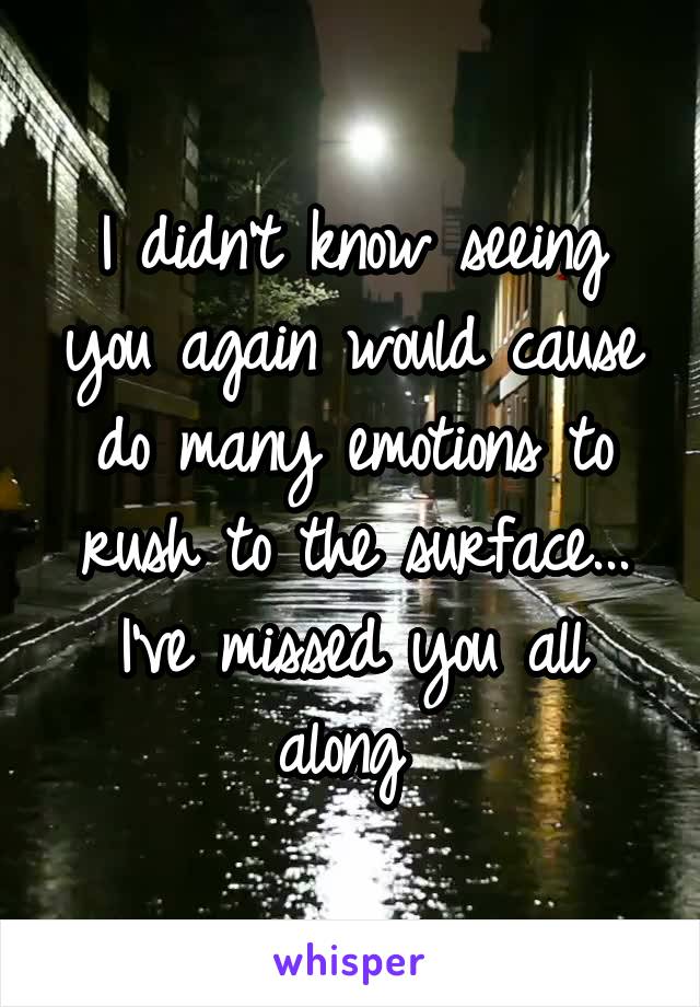 I didn't know seeing you again would cause do many emotions to rush to the surface...
I've missed you all along 