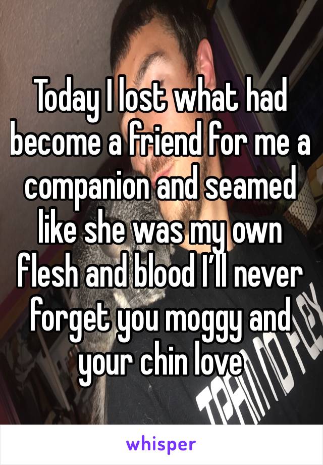 Today I lost what had become a friend for me a companion and seamed like she was my own flesh and blood I’ll never forget you moggy and your chin love 