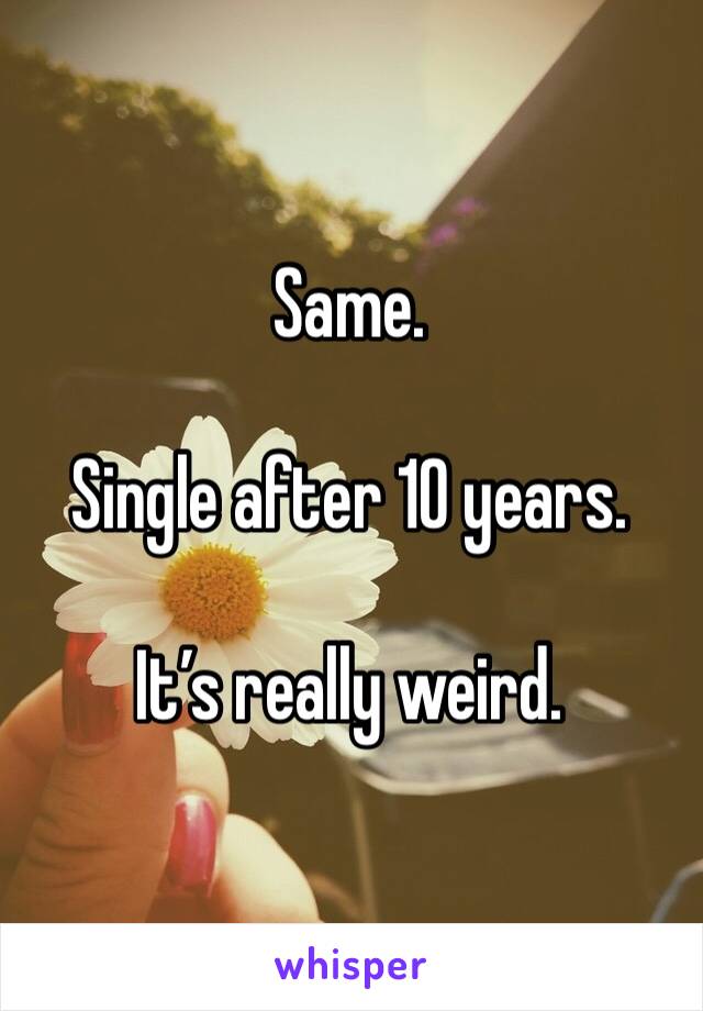 Same.

Single after 10 years.

It’s really weird. 