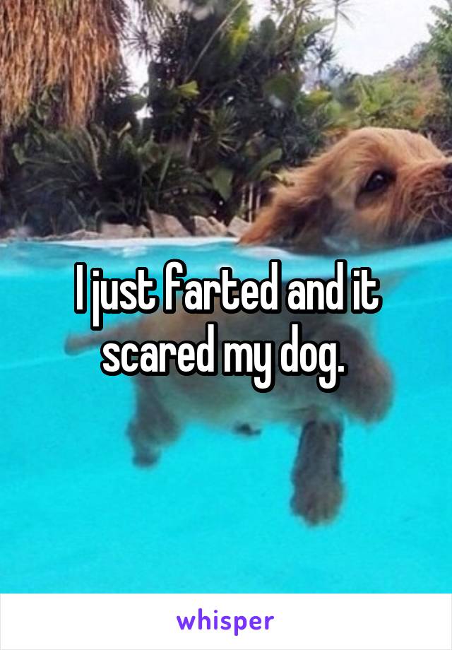 I just farted and it scared my dog. 