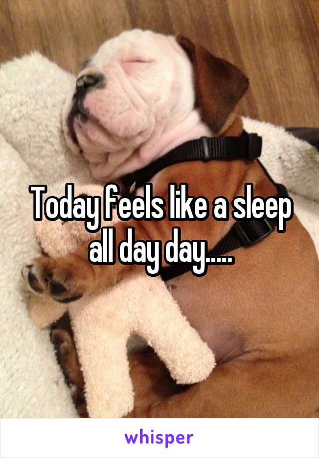 Today feels like a sleep all day day.....