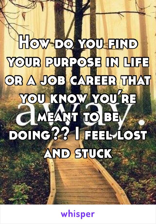 How do you find your purpose in life or a job career that you know you’re meant to be doing?? I feel lost and stuck