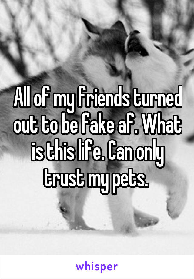 All of my friends turned out to be fake af. What is this life. Can only trust my pets. 