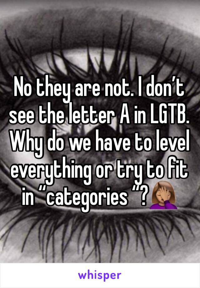 No they are not. I don’t see the letter A in LGTB. Why do we have to level everything or try to fit in “categories “?🤦🏽‍♀️