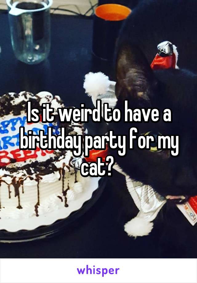 Is it weird to have a birthday party for my cat? 