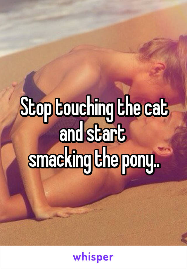 Stop touching the cat and start 
smacking the pony..