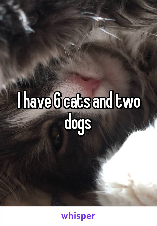 I have 6 cats and two dogs 