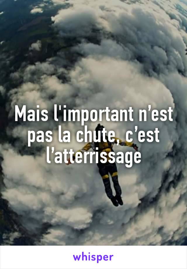 Mais l'important n’est pas la chute, c’est l’atterrissage