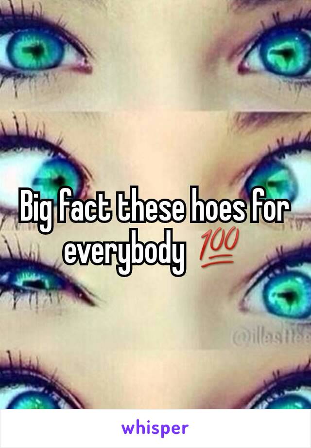 Big fact these hoes for everybody 💯
