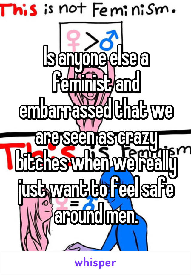 Is anyone else a feminist and embarrassed that we are seen as crazy bitches when we really just want to feel safe around men.