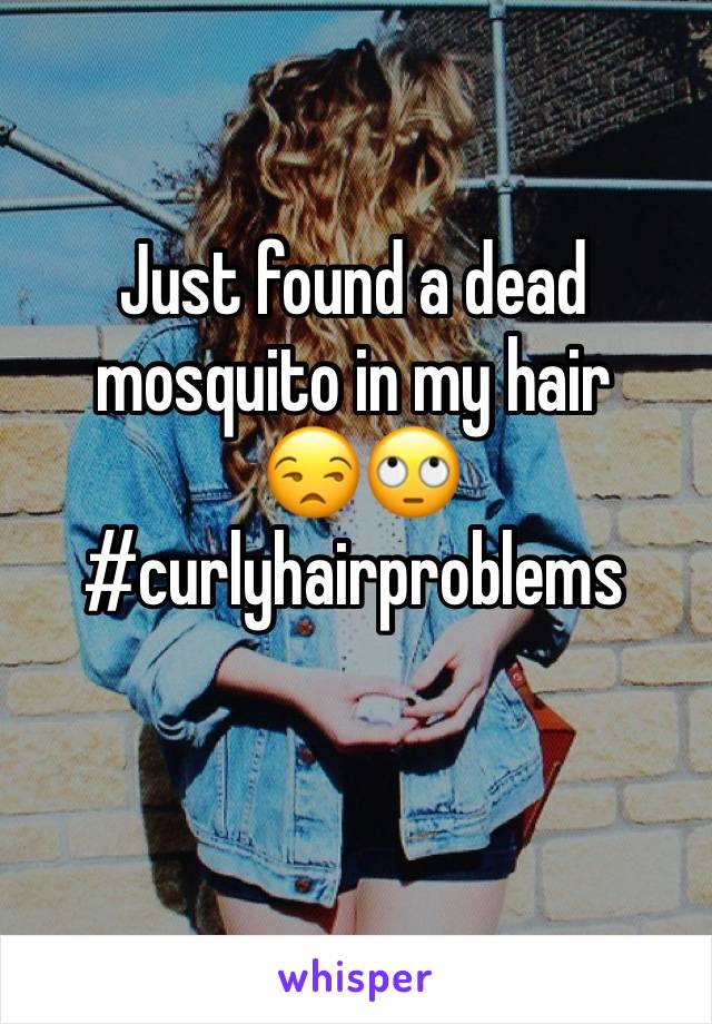 Just found a dead mosquito in my hair
 😒🙄
#curlyhairproblems 