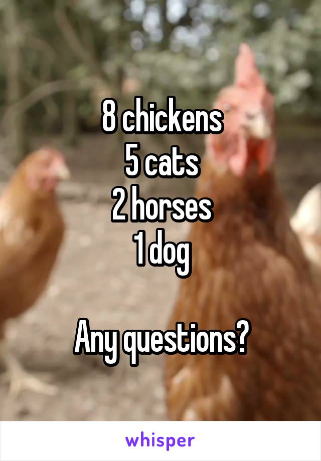 8 chickens
5 cats
2 horses
1 dog

Any questions?
