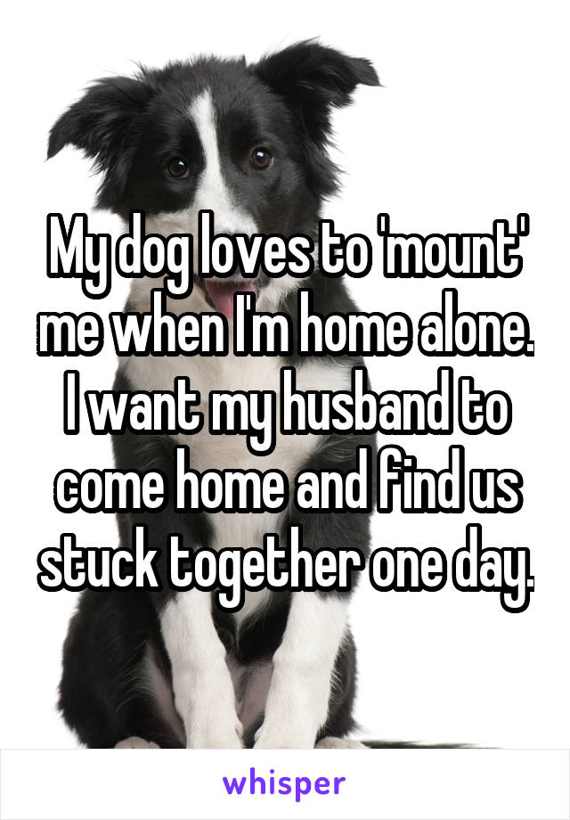 My dog loves to 'mount' me when I'm home alone. I want my husband to come home and find us stuck together one day.