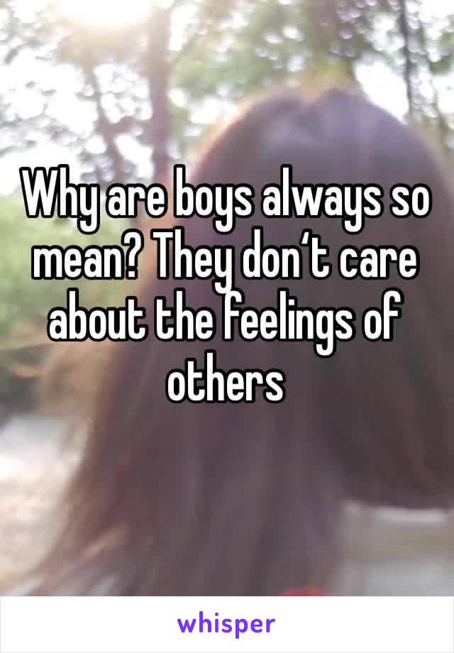 Why are boys always so mean? They don‘t care about the feelings of others