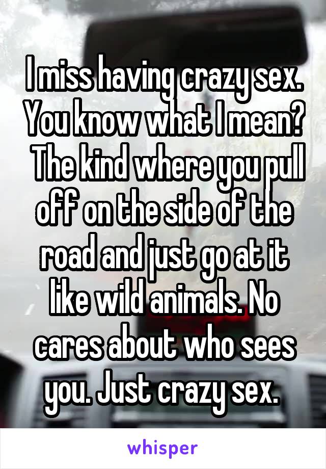 I miss having crazy sex. You know what I mean?  The kind where you pull off on the side of the road and just go at it like wild animals. No cares about who sees you. Just crazy sex. 