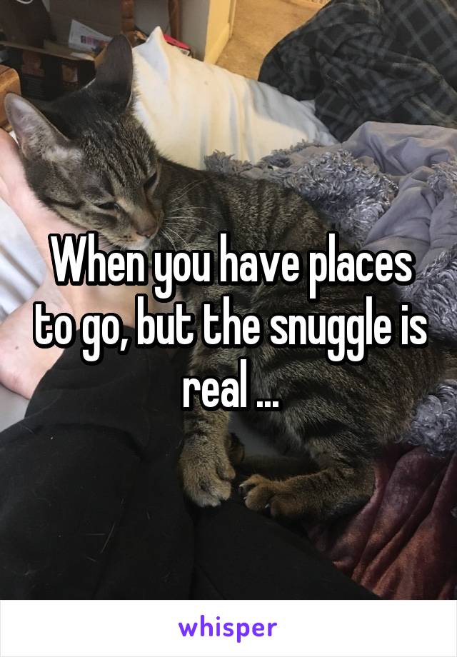 When you have places to go, but the snuggle is real ...