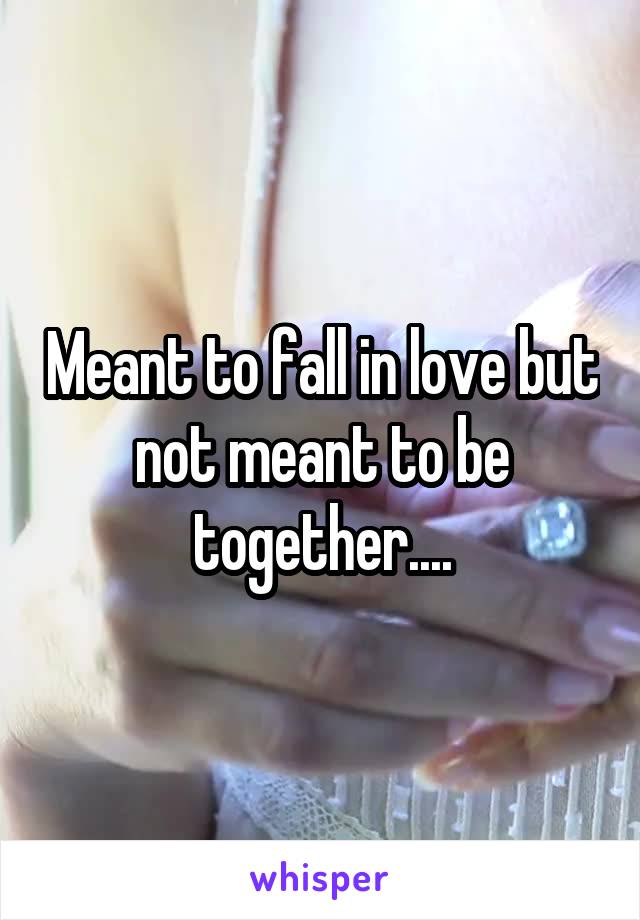 Meant to fall in love but not meant to be together....