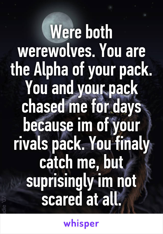 Were both werewolves. You are the Alpha of your pack. You and your pack chased me for days because im of your rivals pack. You finaly catch me, but suprisingly im not scared at all.