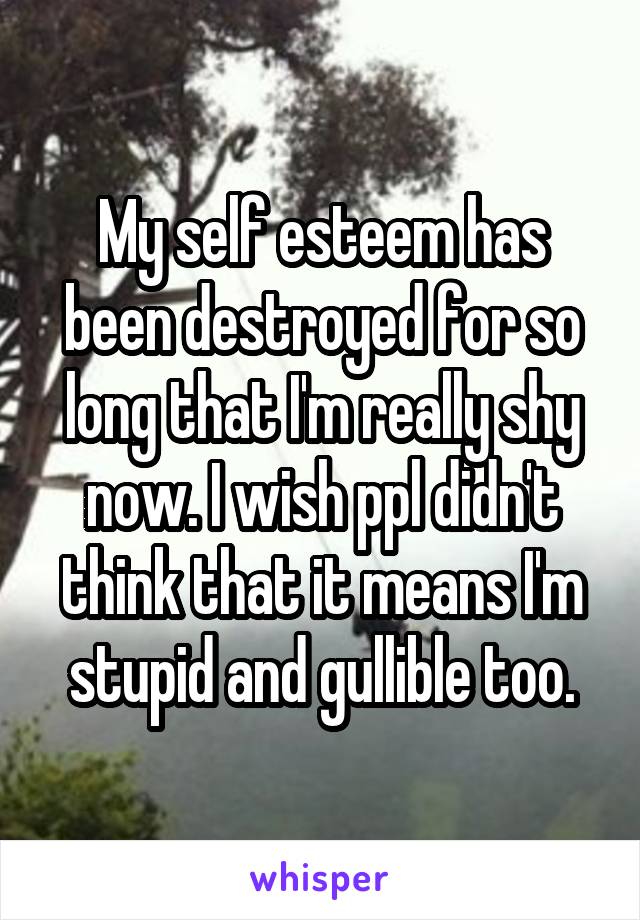 My self esteem has been destroyed for so long that I'm really shy now. I wish ppl didn't think that it means I'm stupid and gullible too.