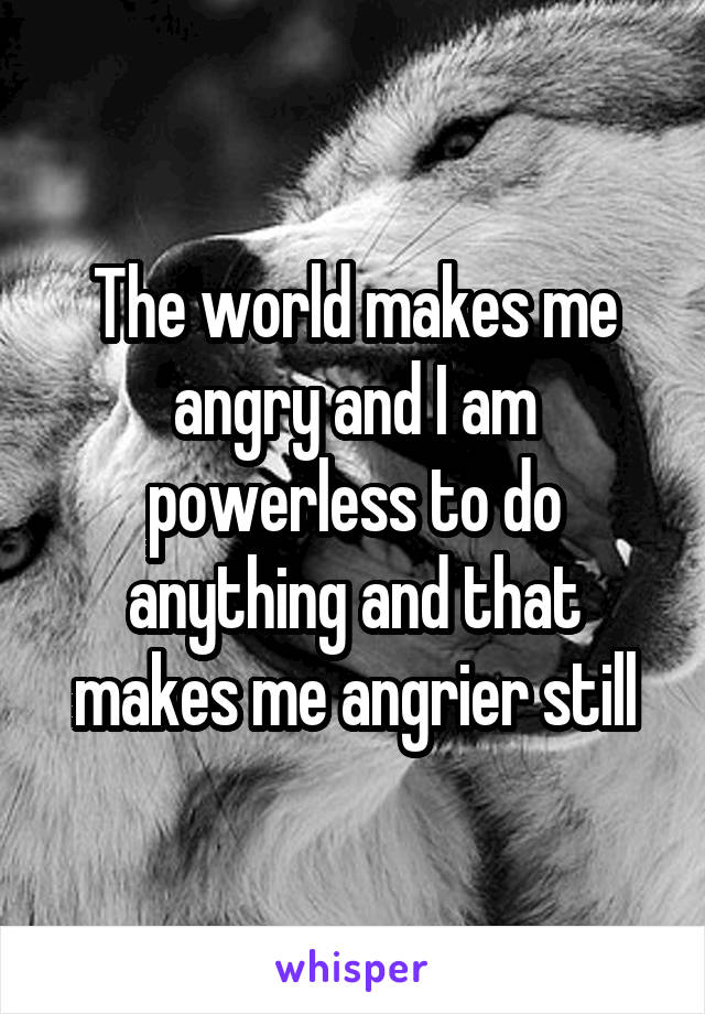 The world makes me angry and I am powerless to do anything and that makes me angrier still