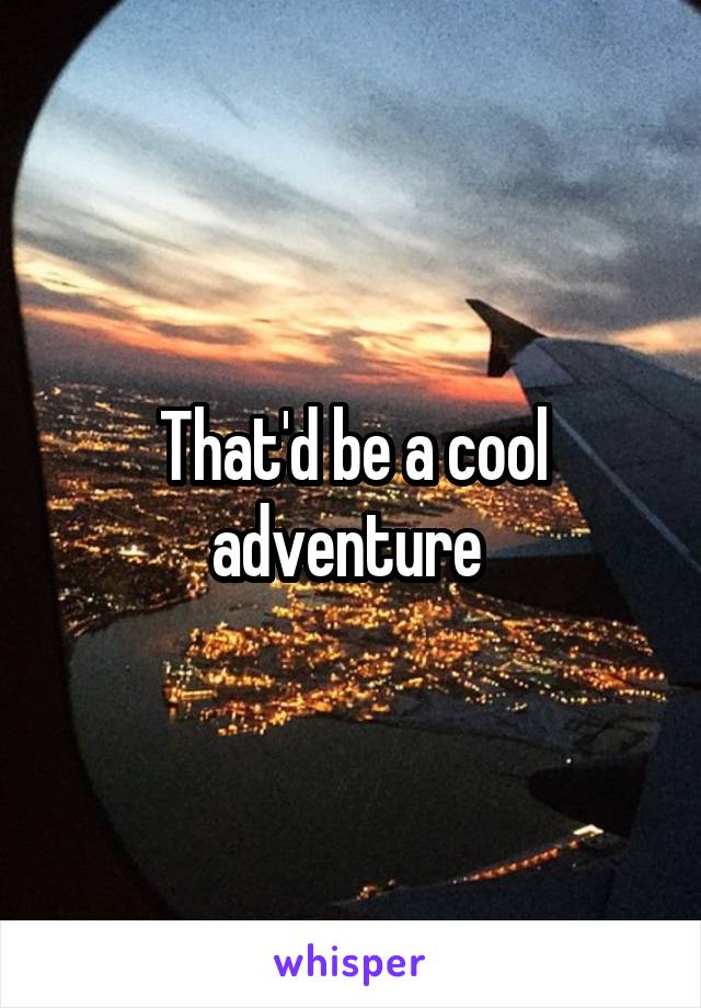 That'd be a cool adventure 