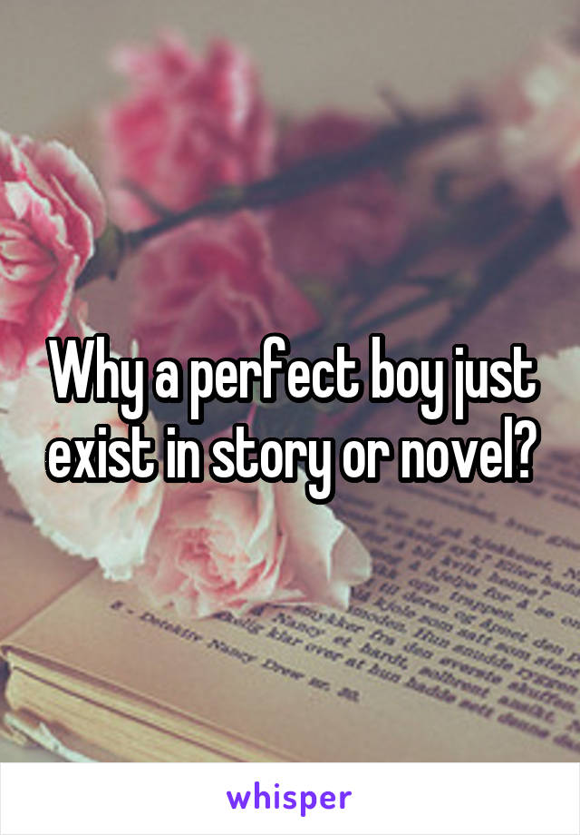 Why a perfect boy just exist in story or novel?