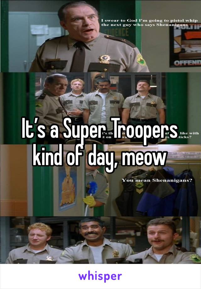 It’s a Super Troopers kind of day, meow 