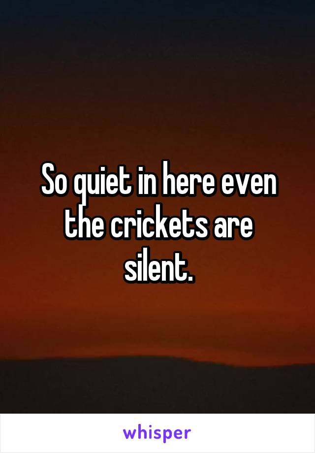 So quiet in here even
the crickets are silent.