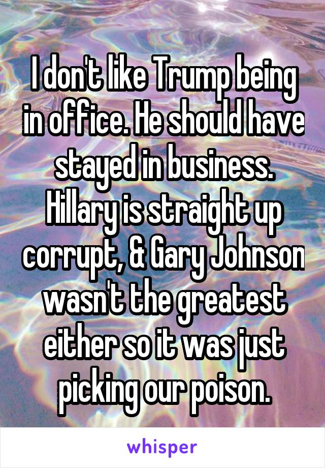 I don't like Trump being in office. He should have stayed in business. Hillary is straight up corrupt, & Gary Johnson wasn't the greatest either so it was just picking our poison.