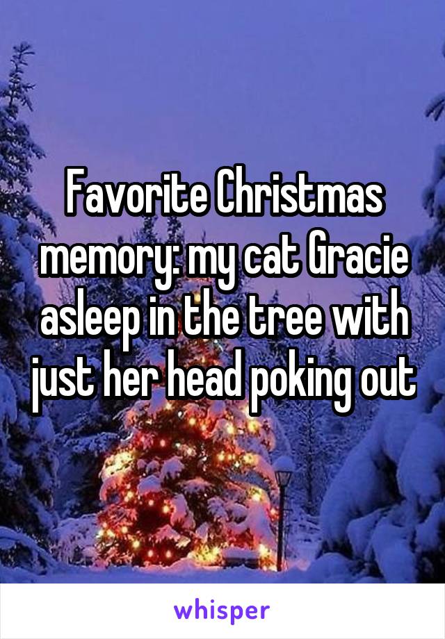 Favorite Christmas memory: my cat Gracie asleep in the tree with just her head poking out 