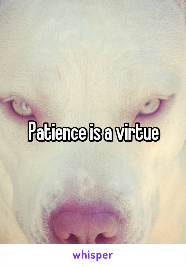 Patience is a virtue