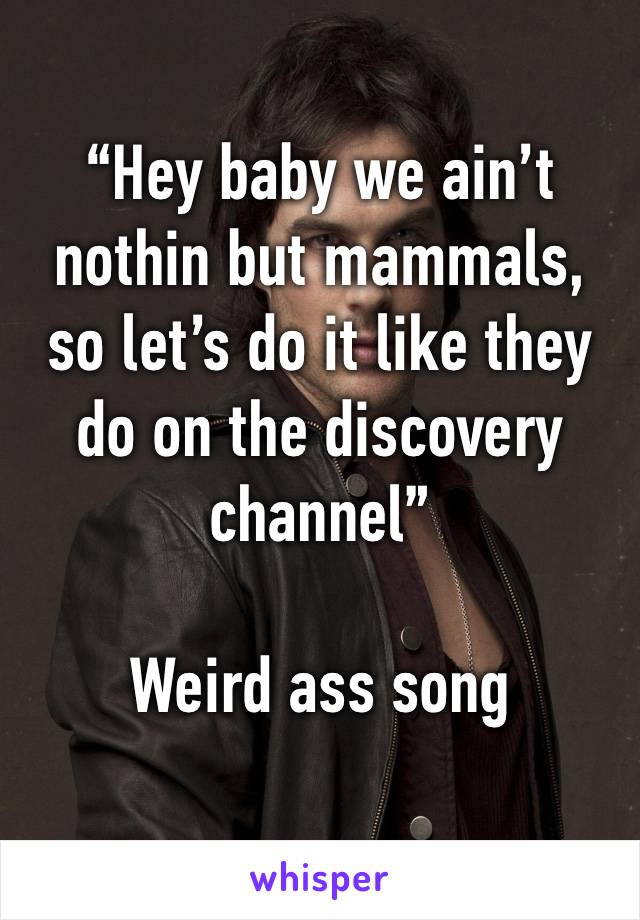 “Hey baby we ain’t nothin but mammals, so let’s do it like they do on the discovery channel”

Weird ass song