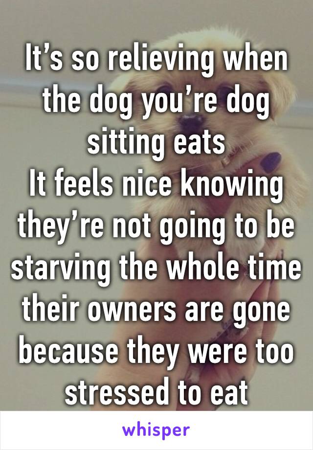 It’s so relieving when the dog you’re dog sitting eats
It feels nice knowing they’re not going to be starving the whole time their owners are gone because they were too stressed to eat 