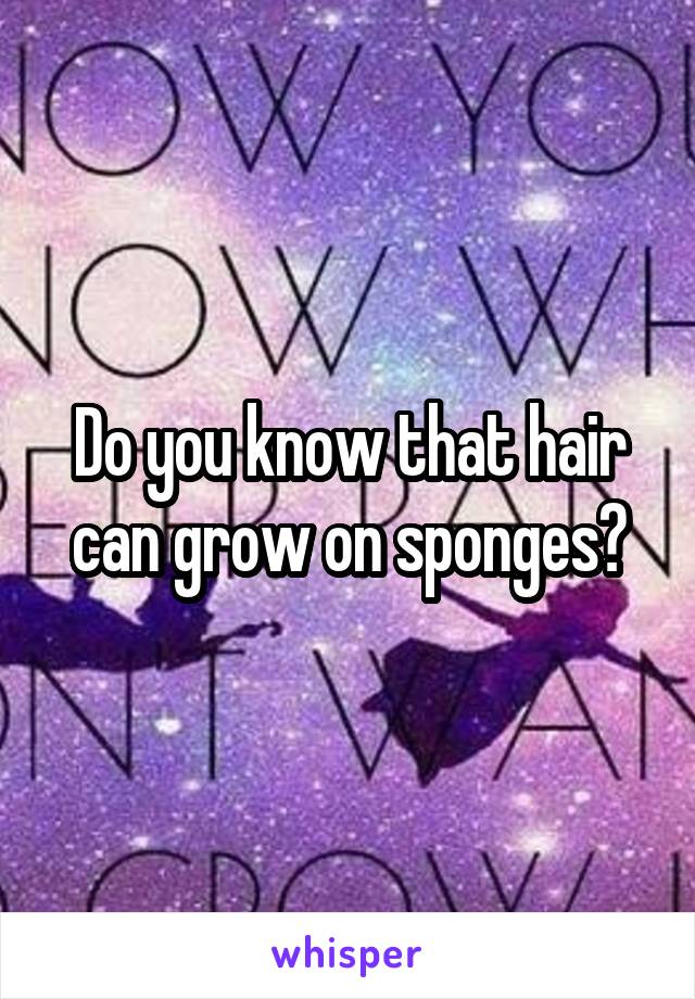 Do you know that hair can grow on sponges?