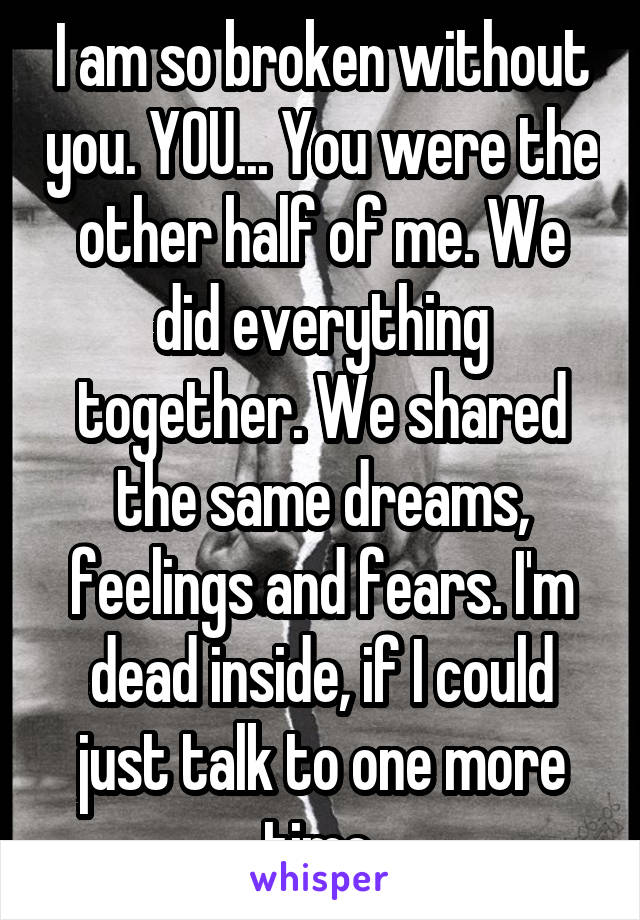 I am so broken without you. YOU... You were the other half of me. We did everything together. We shared the same dreams, feelings and fears. I'm dead inside, if I could just talk to one more time.