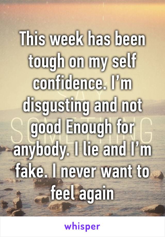 This week has been tough on my self confidence. I’m disgusting and not good Enough for anybody. I lie and I’m fake. I never want to feel again 