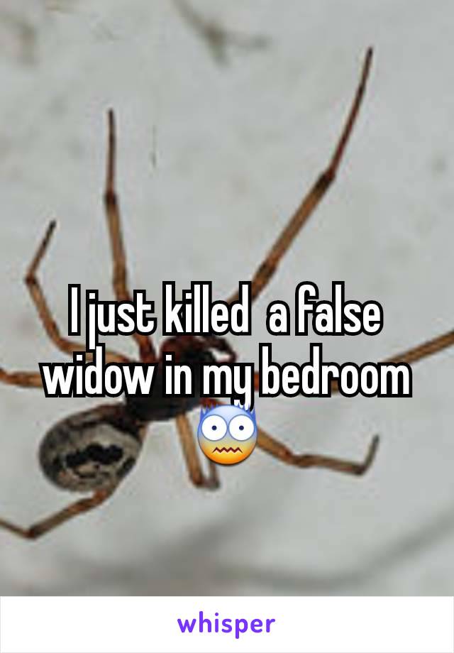 I just killed  a false widow in my bedroom 😨