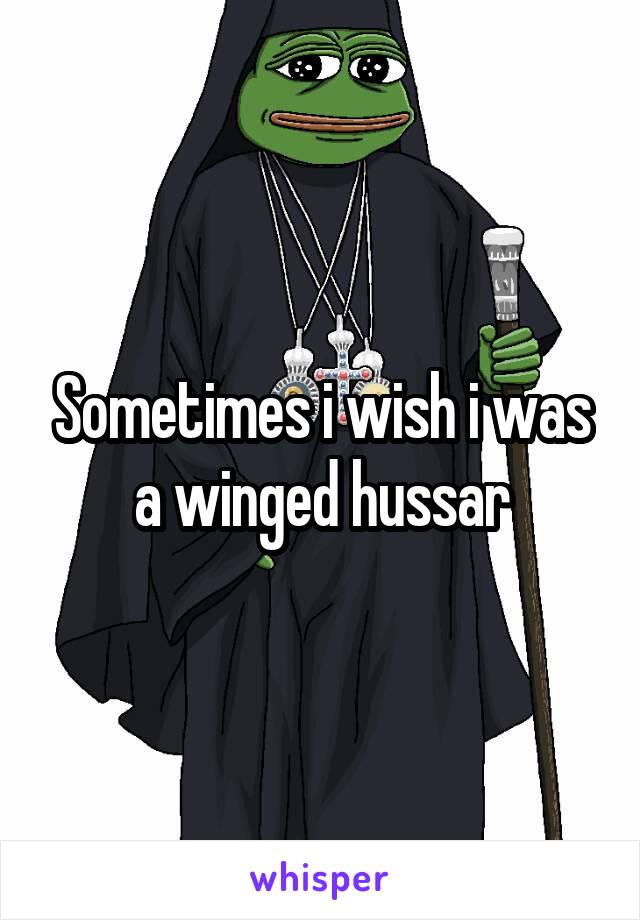 Sometimes i wish i was a winged hussar