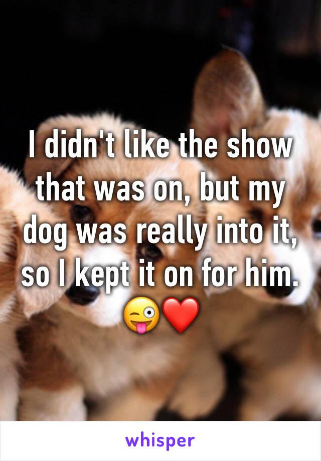 I didn't like the show that was on, but my dog was really into it, so I kept it on for him. 😜❤️