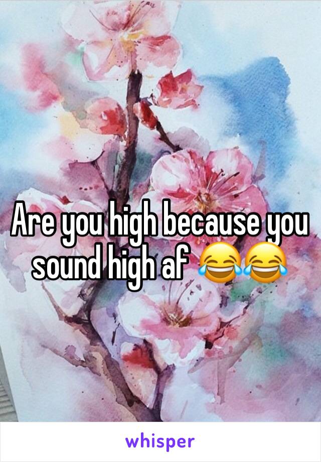 Are you high because you sound high af 😂😂